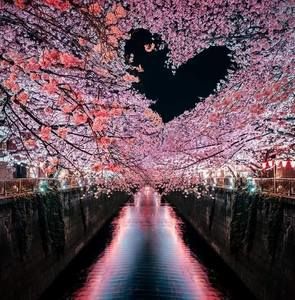 Meet your Posher, Noemi